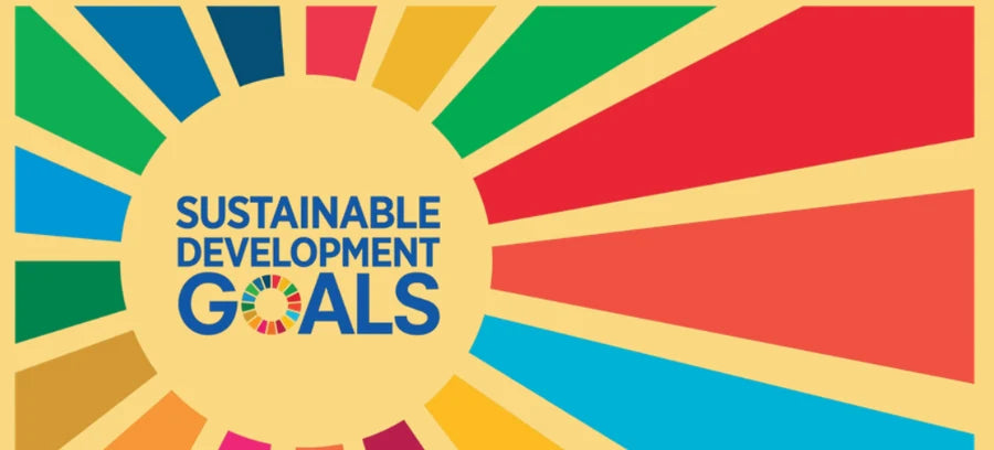 Sustainable Development Goals