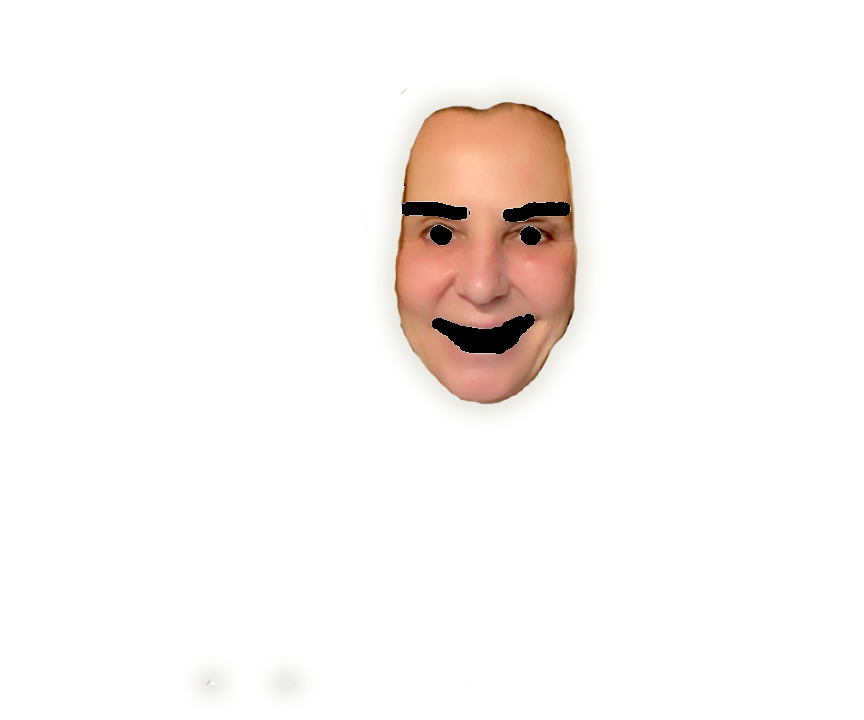 Scanned face with identifying features removed